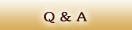 Q&A